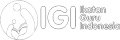Logo IGI